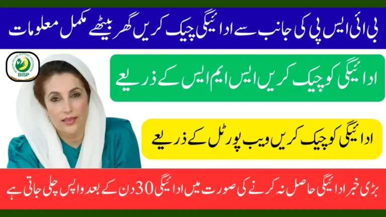 BISP 8171 Redefined Payment Options