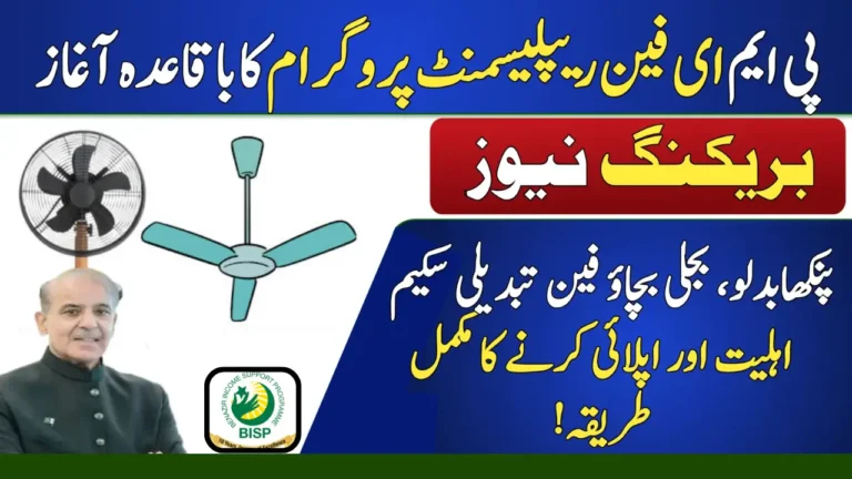 E-Fan Replacement Scheme 2025