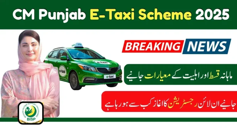 CM Punjab New Electric Taxi Plan